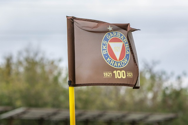 的英超赛场 的英超赛场