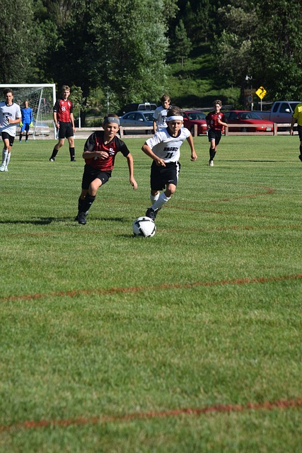 这不仅为专 这不仅为专