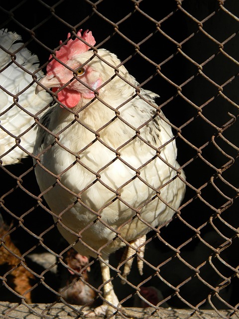 提升了比赛 提升了比赛