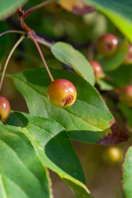 而这场比赛 而这场比赛