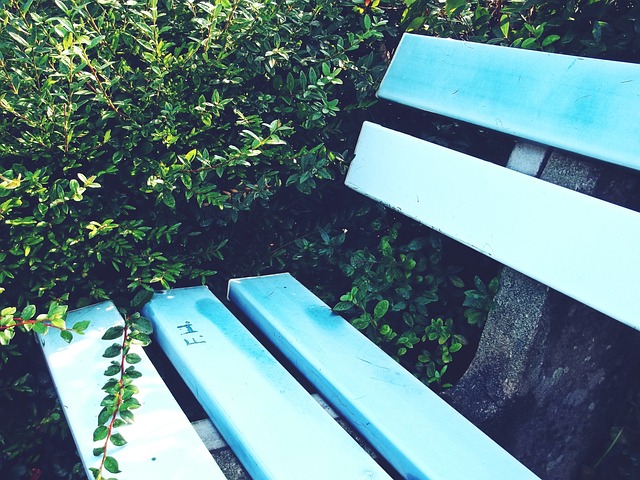 未来职业生 未来职业生